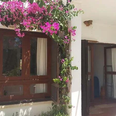 Apartment Patio House - Checkinhome